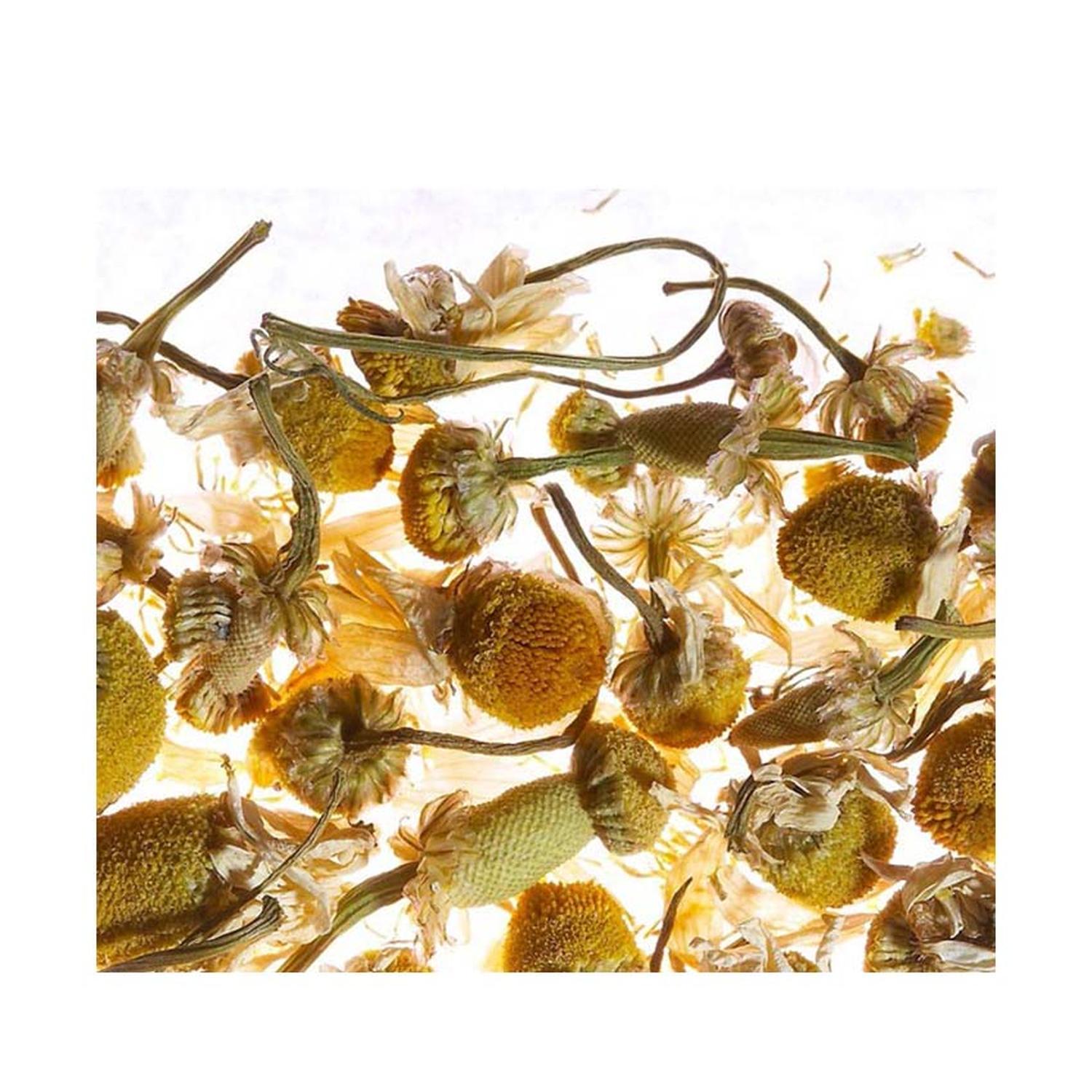 jpg_1500x1500_60206410