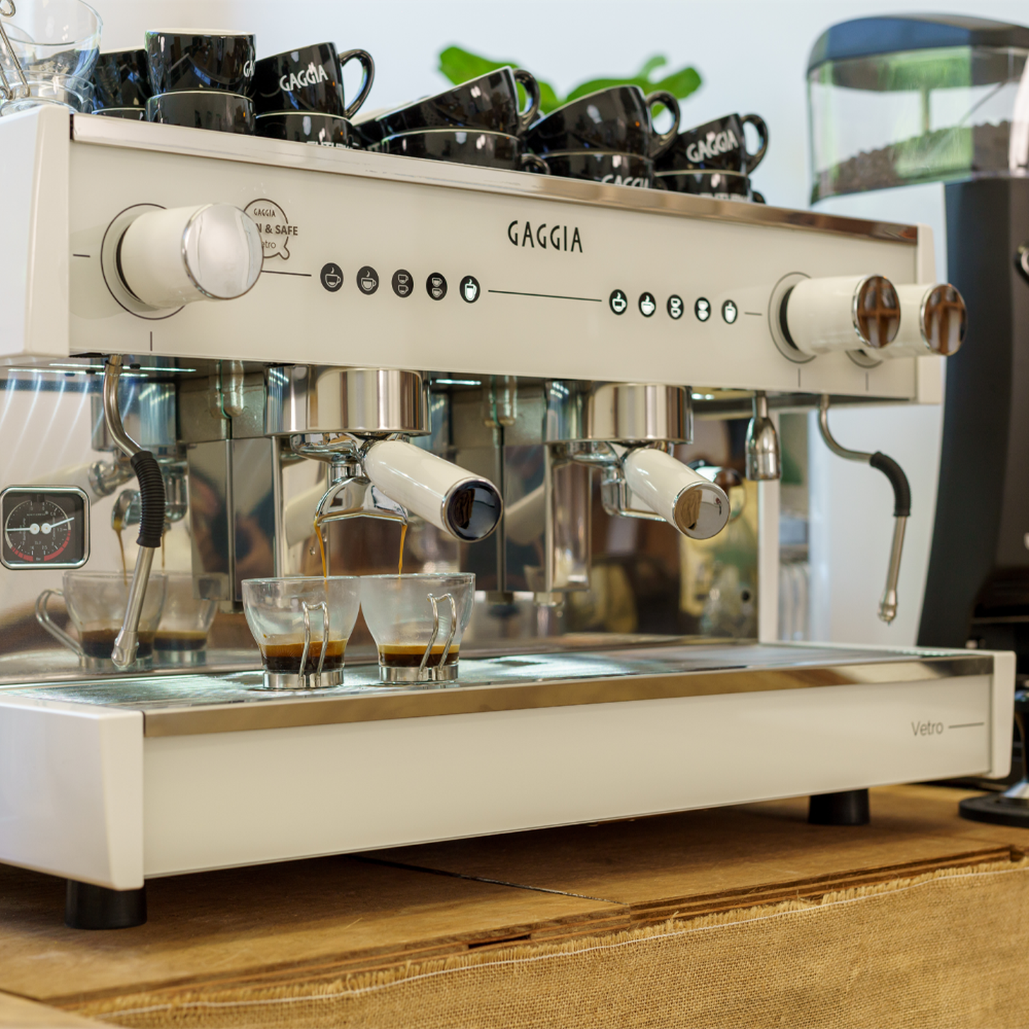 png_1500x1500_66155696